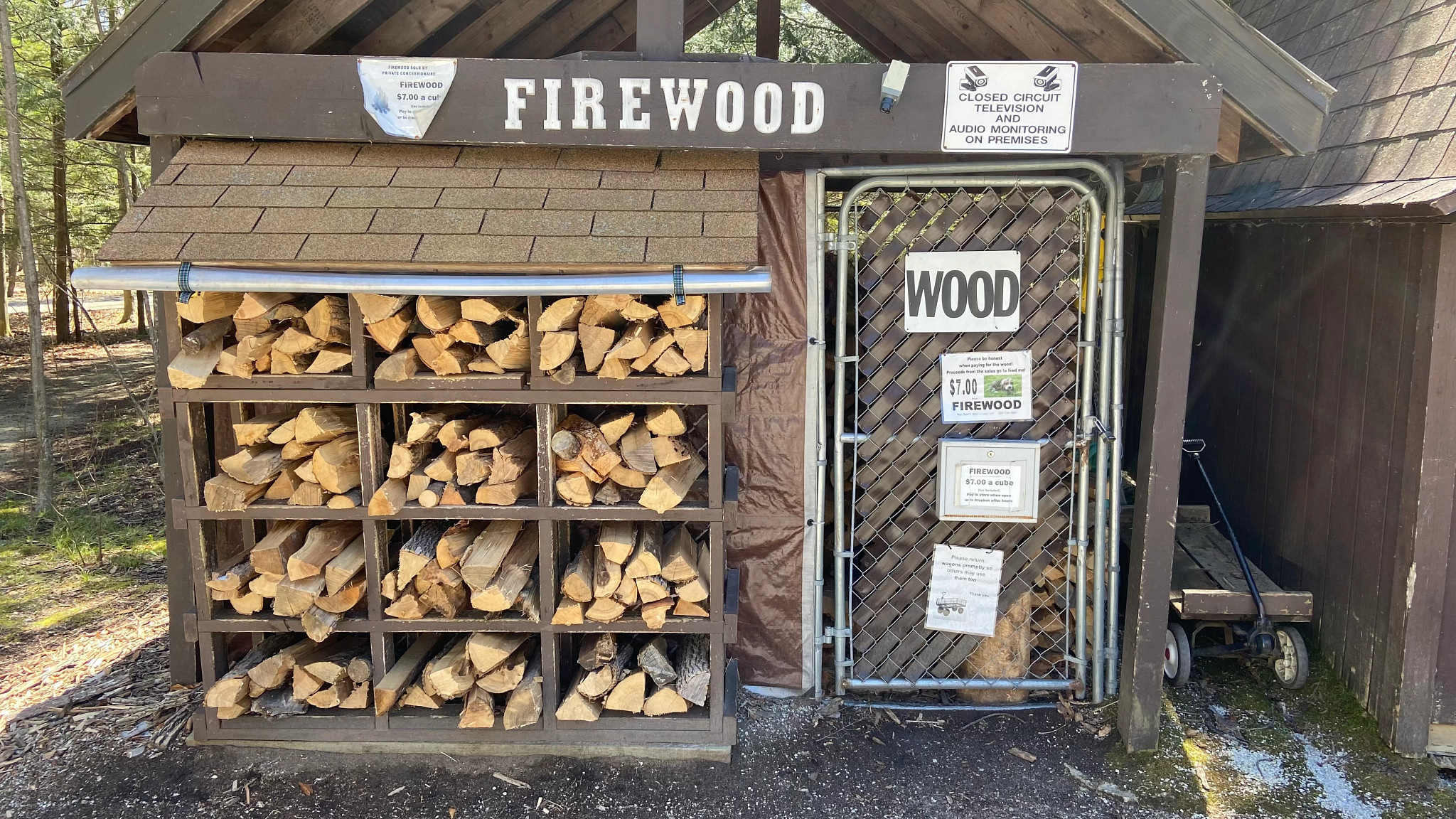 Protect Wisconsin’s Forests And Trees By Not Moving Firewood